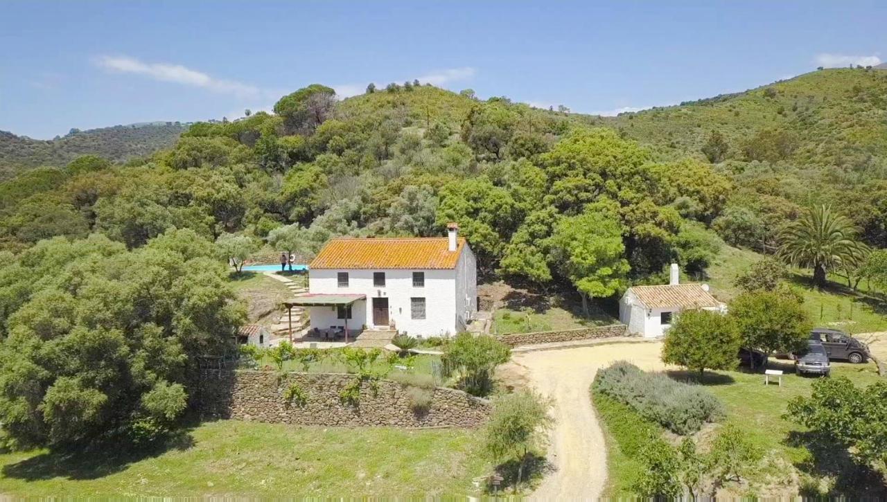 Finca Sta Teresa, Casa Grande Естепона Екстериор снимка
