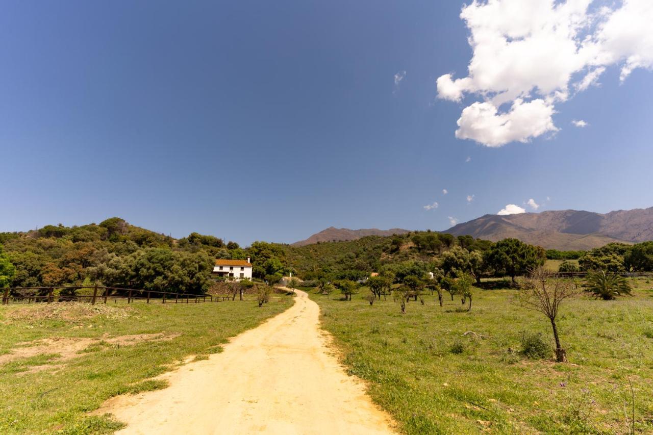 Finca Sta Teresa, Casa Grande Естепона Екстериор снимка