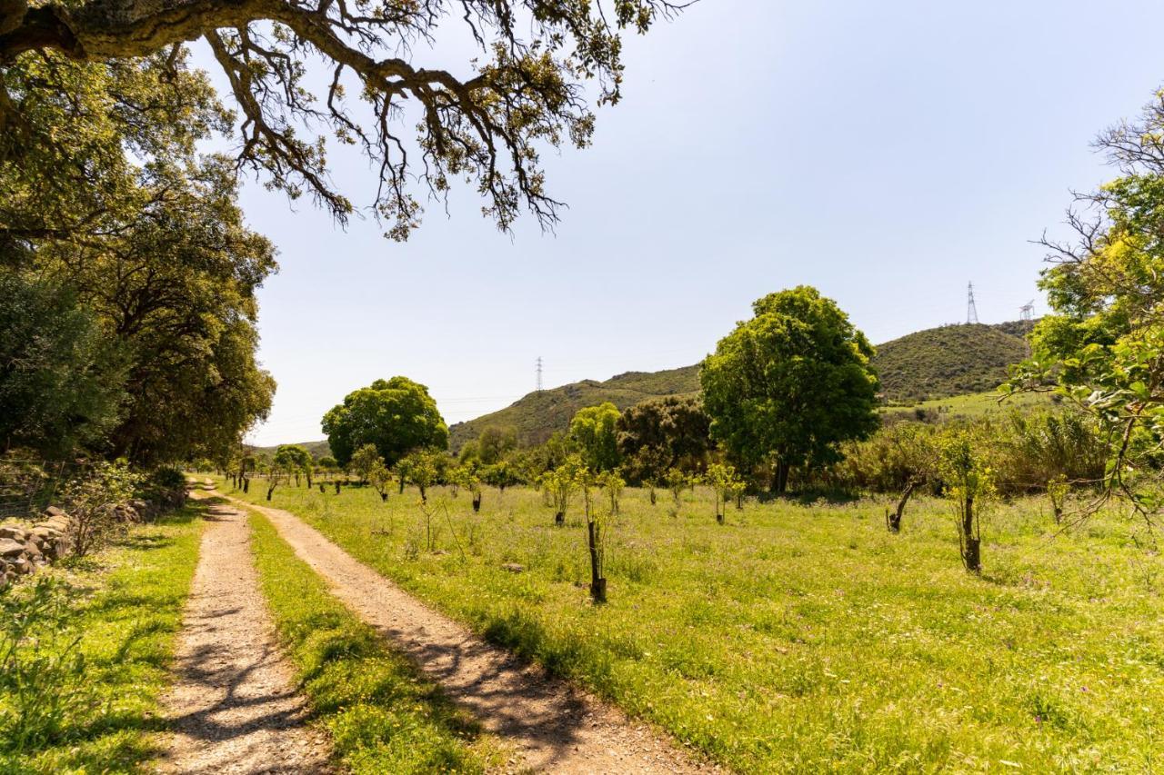 Finca Sta Teresa, Casa Grande Естепона Екстериор снимка