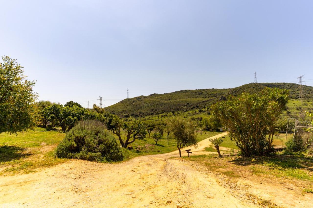 Finca Sta Teresa, Casa Grande Естепона Екстериор снимка