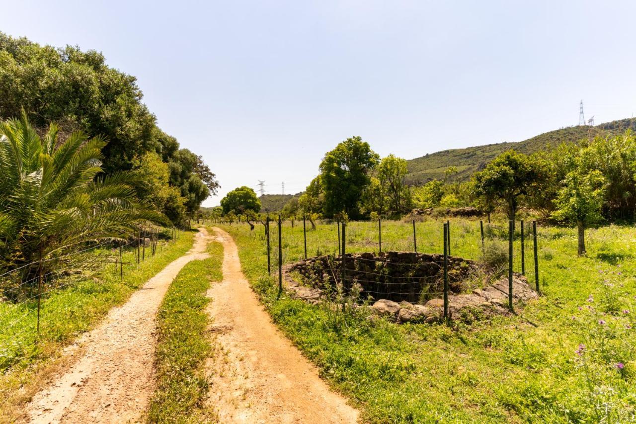 Finca Sta Teresa, Casa Grande Естепона Екстериор снимка