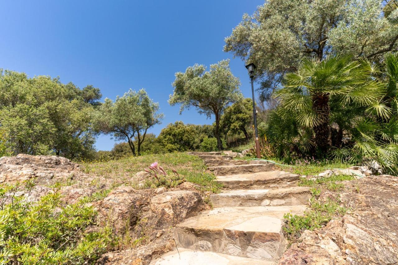 Finca Sta Teresa, Casa Grande Естепона Екстериор снимка