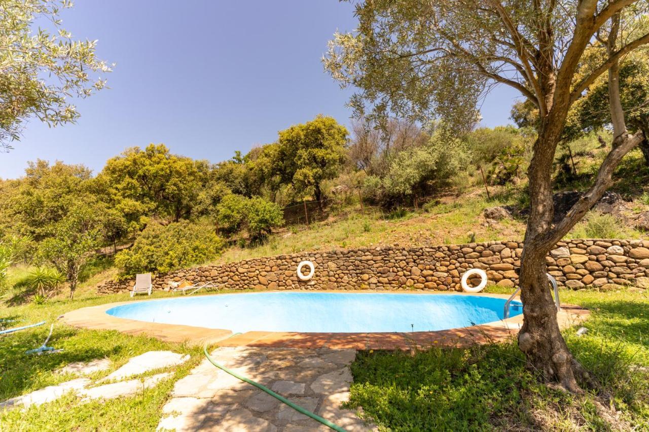 Finca Sta Teresa, Casa Grande Естепона Екстериор снимка