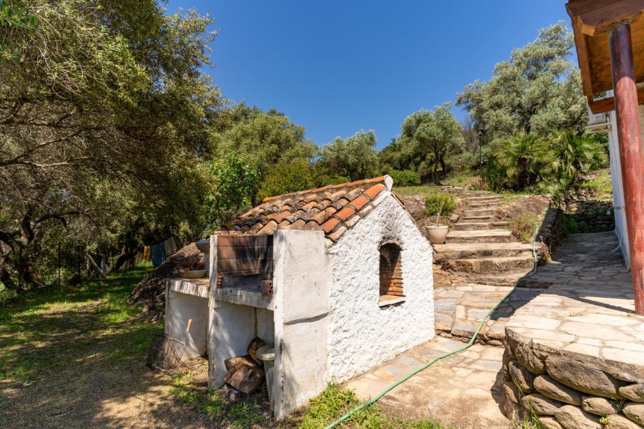 Finca Sta Teresa, Casa Grande Естепона Екстериор снимка
