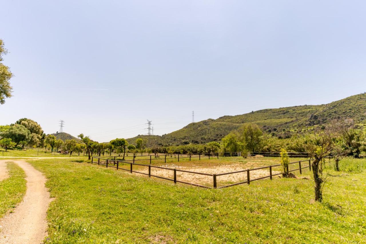 Finca Sta Teresa, Casa Grande Естепона Екстериор снимка