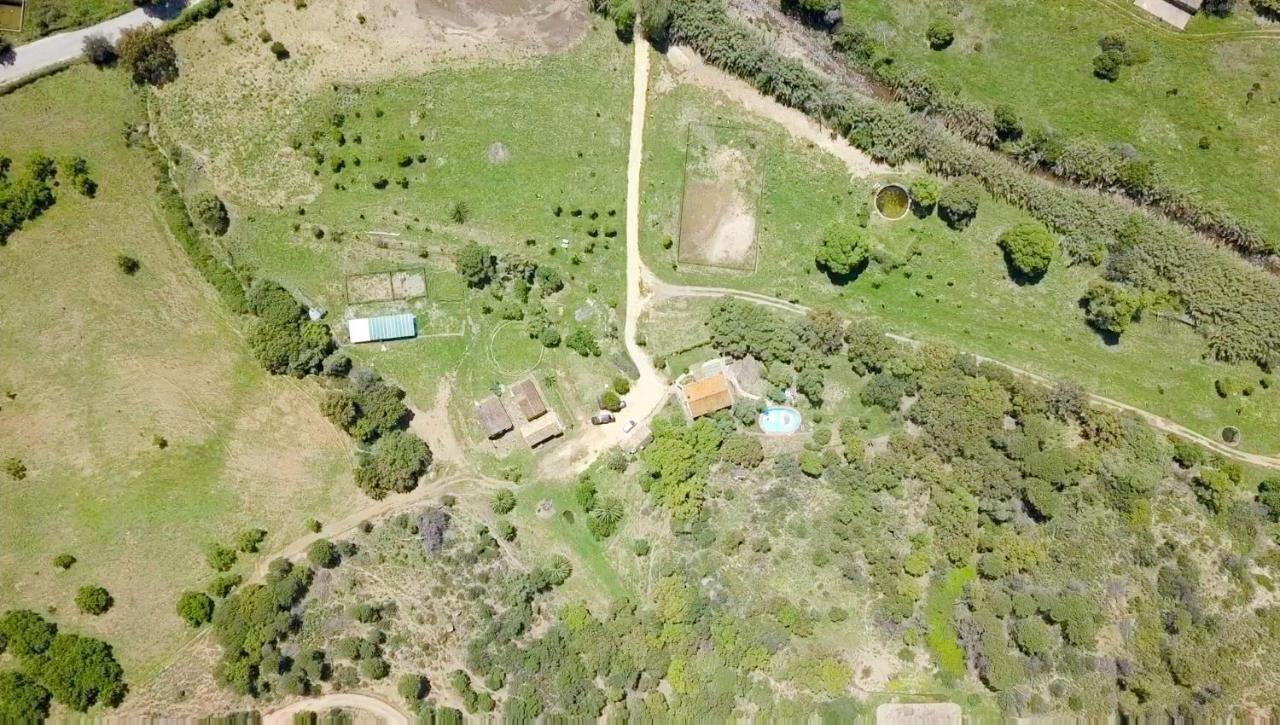 Finca Sta Teresa, Casa Grande Естепона Екстериор снимка