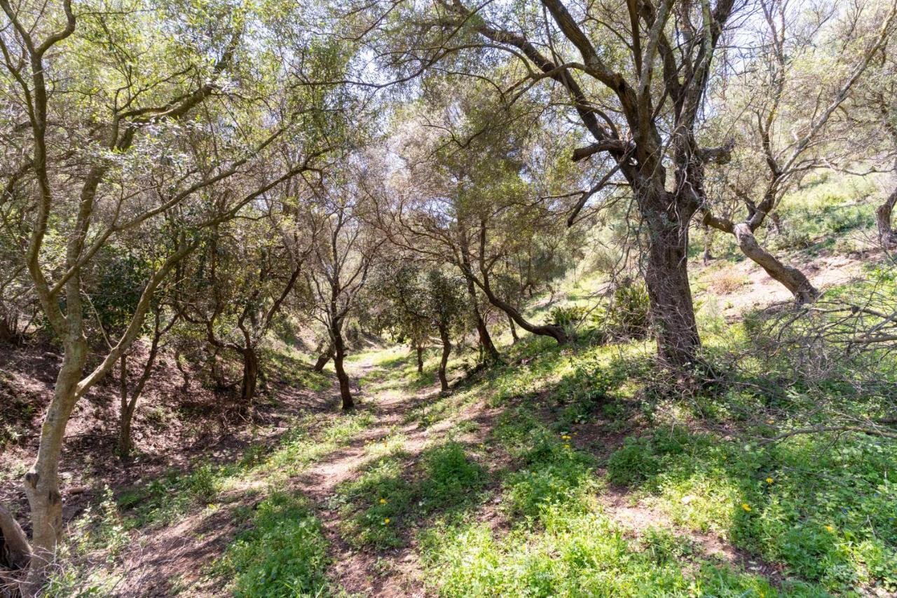 Finca Sta Teresa, Casa Grande Естепона Екстериор снимка