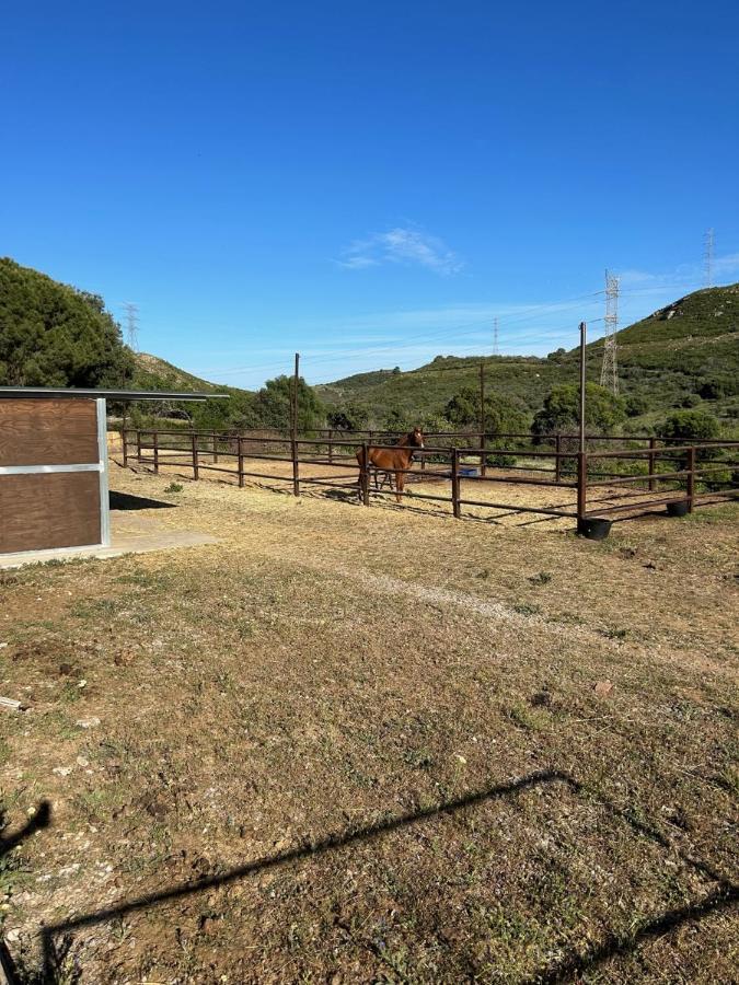 Finca Sta Teresa, Casa Grande Естепона Екстериор снимка