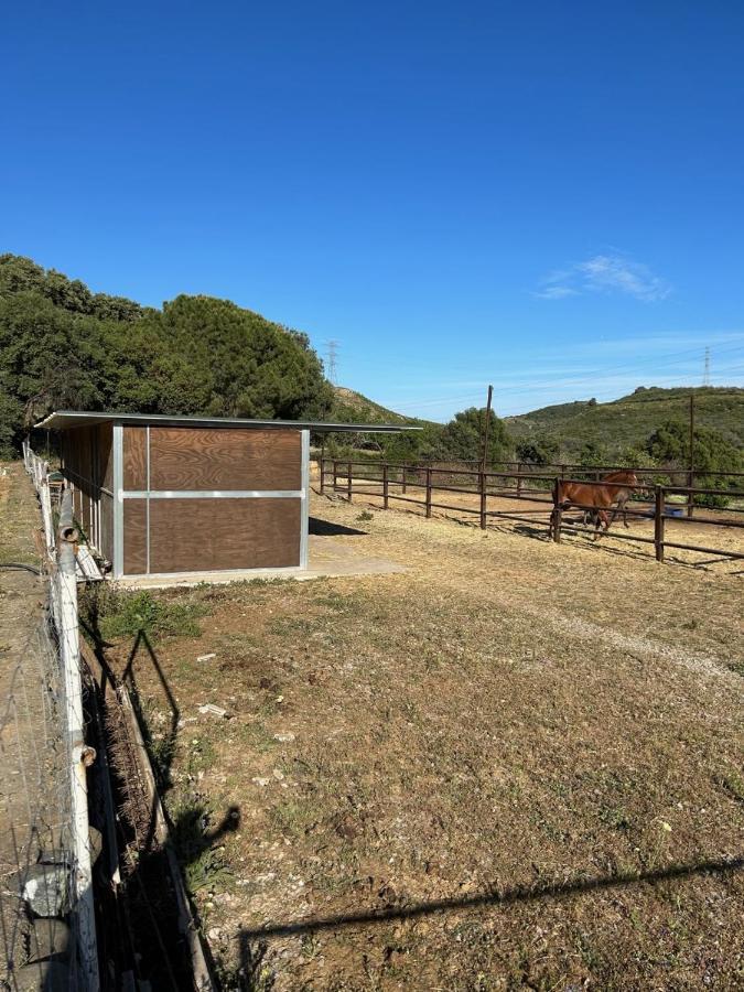 Finca Sta Teresa, Casa Grande Естепона Екстериор снимка