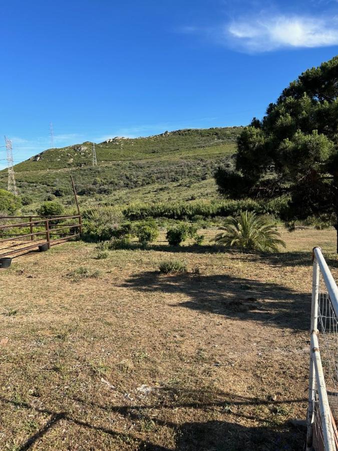 Finca Sta Teresa, Casa Grande Естепона Екстериор снимка